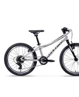 Bicykle Odľahčený detský bicykel Galaxy Cetis Lite 20" 9.0 • 115-135 cm • 8,3 kg strieborná - 10" (115-135 cm)
