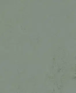 Marmoleum solid concrete FORBO Marmoleum solid concrete Tundra 3751