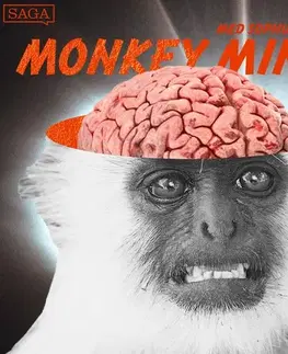 Humor a satira Saga Egmont Monkey Mind (EN)