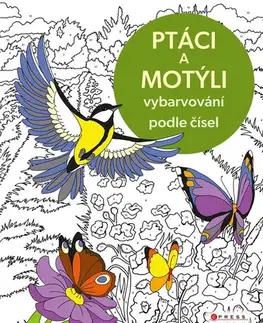 Kreslenie, maľovanie Vybarvování podle čísel: Ptáci a motýli