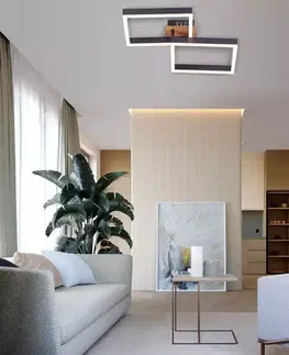 Moderné lampy do obývačky Stropnica ENKEL 20W AC-ENLED20WO LED PL2
