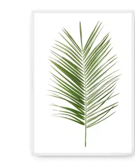 Obrazy Plagát Palm Leaf Green