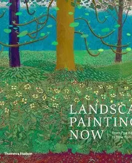 Maliarstvo, grafika Landscape Painting Now - Barry Schwabsky,Todd Bradway