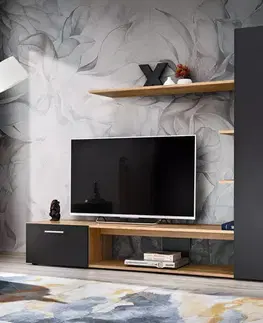 Obývacie steny Obývacia Stena Eco Wotan/Čierna