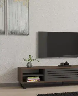 TV stolíky TV stolík Eray - Walnut, Anthracite