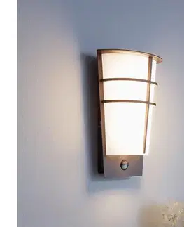 Záhradné lampy Eglo 96017-LED Vonkajšie nástenné svietidlo s pohybovým senzorom BREGANZO 1 2xLED/2,5W IP44 96017