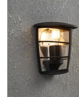 Záhradné lampy Eglo 93407 - Vonkajšie nástenné svietidlo ALORIA 1xE27/60W/230V IP44 93407