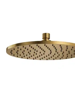 Sprchy a sprchové panely Omnires WG125CGLB