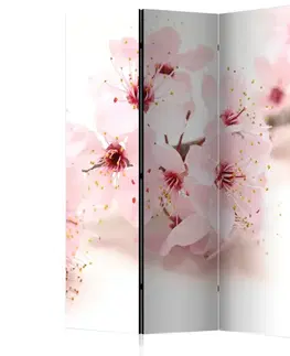 Paravány Paraván Cherry Blossom Dekorhome