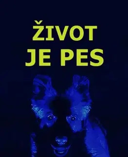 Romantická beletria Život je pes - Paleček Tonda