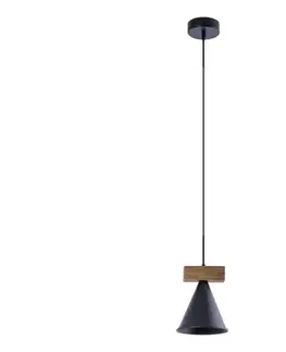 Svietidlá  Luster na lanku 1xE27/60W/230V W-DR 1231/1