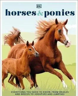 Kone Horses and Ponies - DK