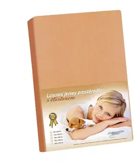 Plachty Bellatex Jersey prestieradlo s elastanom lososová, 180 x 200 cm