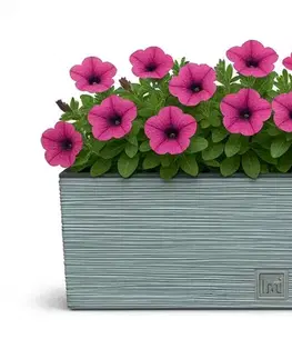 Záhradné kvetináče ProsperPlast Kvetináč FURU CASE | betón 39,5 cm