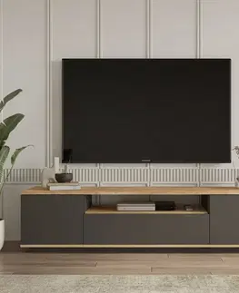 Konferenčné stolíky Televízny stolík Fran Atlantic Pine and Anthracite