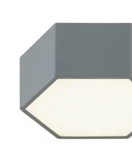 Svietidlá Argon 8784 - LED Stropné svietidlo LIBERO LED/12W/230V 3000K šedá 8784