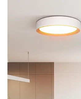 Svietidlá  WO8017 - LED Stm. strop. svietidlo LARIOS LED/48W/230V+DO pr.39 cm biela WO8017