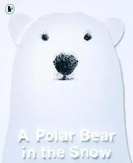 Rozprávky A Polar Bear in the Snow - Mac Barnett,Shawn Harris