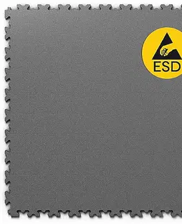 ESD FORTELOCK ESD Koža Grafitová