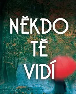 Detektívky, trilery, horory Někdo tě vidí - Clare Mackintosh