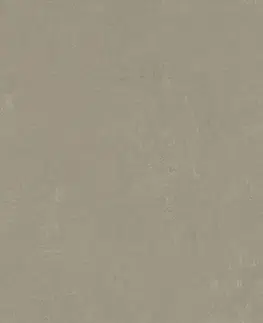 Marmoleum solid concrete FORBO Marmoleum solid concrete Mercury 3759