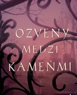 Detektívky, trilery, horory Ozveny medzi kameňmi - Jaime Jo Wrightová