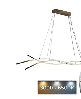 Svietidlá  LED Stmievateľný luster na lanku LED/80W/230V 3000-6500K + diaľkové ovládanie J4368/G