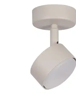 Svietidlá  Bodové svietidlo NEMO 1xGX53/12W/230V béžová 40886
