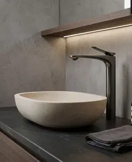Kúpeľňové batérie REA - Umývadlová batéria PREMIUM Vision Tytan High REA-B8947