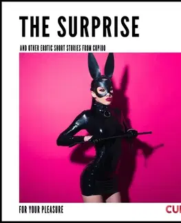 Erotická beletria Saga Egmont The Surprise - and other erotic short stories from Cupido (EN)
