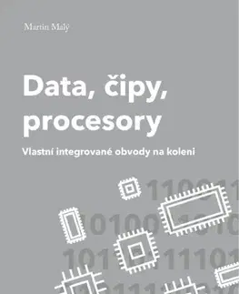 Hardware Data, čipy, procesory - Martin Malý