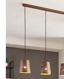 Svietidlá Eglo 99438 - Luster na lanku SEGEZIA 3xE27/40W/230V 99438