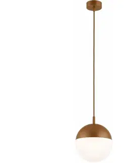 Svietidlá Argon 8998 - Vonkajšie závesné svietidlo na lanku LIV 1xE27/15W/230V IP44 hnedé 8998