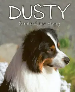 Pre deti a mládež - ostatné Dusty: Stratený bez stopy - Jan Andersen