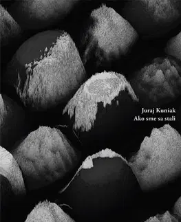 Poézia Ako sme sa stali - Juraj Kuniak