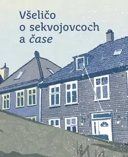 Romantická beletria Všeličo o sekvojovcoch a čase - Jón Kalman Stefánsson