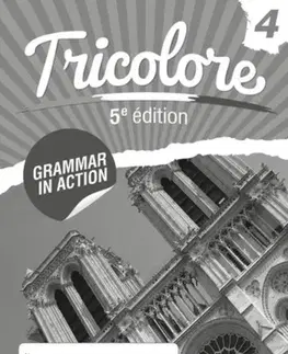 Učebnice, slovníky Tricolore Grammar in Action 4 (8 Pack) - Heather Mascie-Taylor