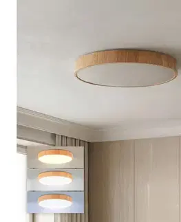 Svietidlá Brilagi - stmievateľné LED stropné svietidlo POOL LED/50W/230V pr. 40 cm, dekor dreva + diaľkový ovládač WO800-OEM47-40-REM