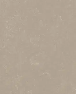 Marmoleum solid concrete FORBO Marmoleum solid concrete Fossil 3708