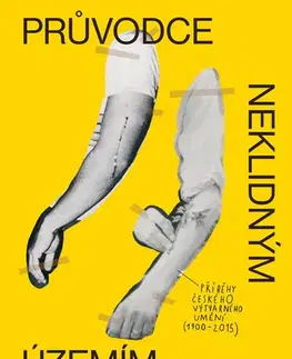 Komiksy Průvodce neklidným územím - David Bohm,Jiří Franta,Ondřej Horák