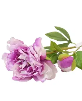 Záhradné dekorácie Paeonia 59cm ľaliová A2010572