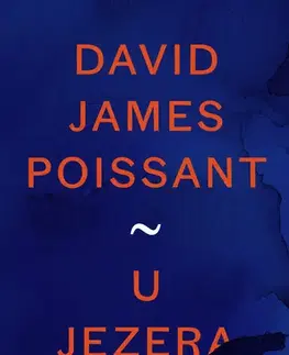 Romantická beletria U jezera - David James Poissant