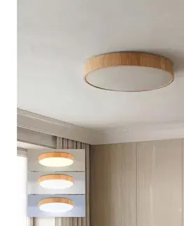 Svietidlá Brilagi - LED stropné svietidlo POOL LED/36W/230V 3000/4000/6000K priemer 30 cm, drevený dekor WO800-OEM47-30-CCT
