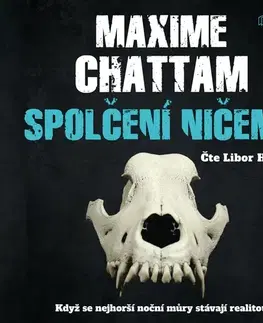 Detektívky, trilery, horory Metafora Spolčení ničemů