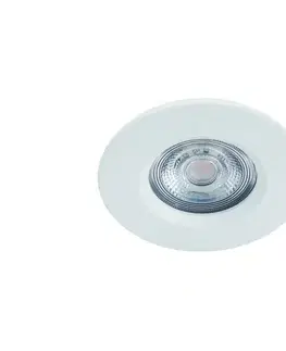 Svietidlá Philips - LED Stmievateľné kúpeľňové svietidlo DIVE LED/5W/230V 2700K IP65 8718699755645