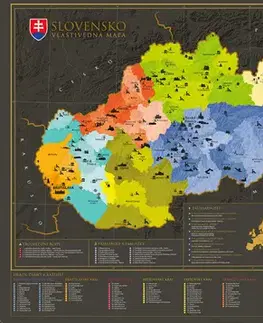 Slovensko a Česká republika Nástenná mapa Slovenska vlastivedná (bez stieracej vrstvy), štandardný biely tubus s nálepkou - Kolektív autorov