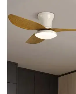 Ventilátory BRILAGI-LED stmievateľný stropný látor LED/30W/230V 3000-6500K bielohnedý+D WF-OSD-009-WHW