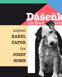 Pre deti a mládež Jonathan Livingston Dášeňka