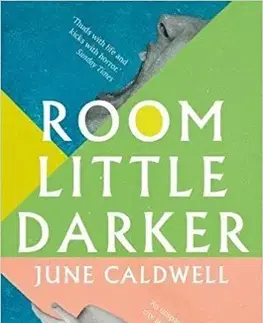 Cudzojazyčná literatúra Room Little Darker - June Caldwell