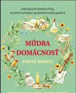 Kuchárky - ostatné Múdra domácnosť starej mamy - Anna Lipovská